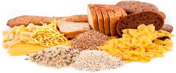 carbohydrate是什么意思