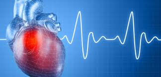 cardiology是什么意思