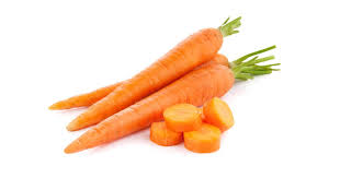 carrot是什么意思