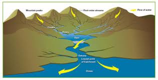 catchment是什么意思