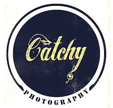 catchy是什么意思