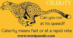 celerity是什么意思
