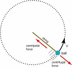 centrifugal是什么意思