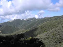 chaparral是什么意思