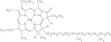 chlorophyll是什么意思