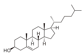 cholesterol是什么意思