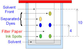 chromatography是什么意思