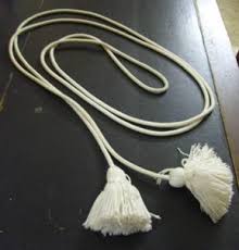 cincture是什么意思