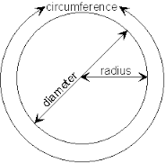 circumference是什么意思