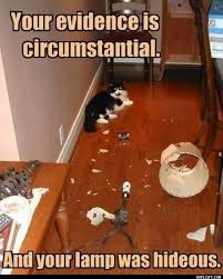 circumstantial是什么意思