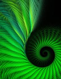 circumvolution是什么意思