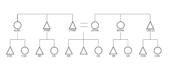 classificatory是什么意思