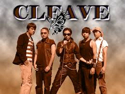 cleave是什么意思