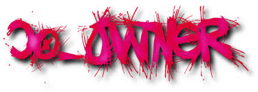 co-owner是什么意思
