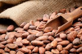 cocoa是什么意思