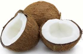 coconut是什么意思