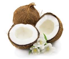coconuts是什么意思
