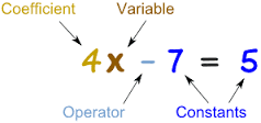 coefficient是什么意思