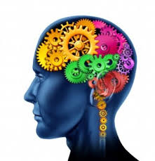 cognitive是什么意思