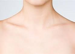 collarbone是什么意思