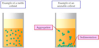 colloid是什么意思