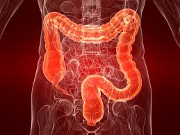 colorectal是什么意思