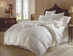 comforter是什么意思