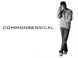 commonsensical是什么意思