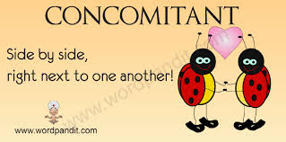 concomitant是什么意思