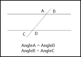 conjecture是什么意思
