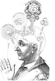 consciously是什么意思