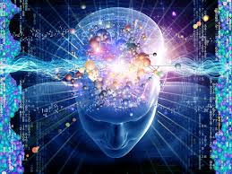 consciousness是什么意思