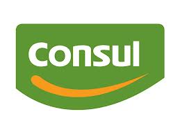 consul是什么意思