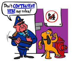 contravening是什么意思