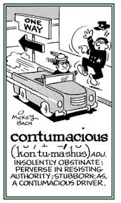 contumacy是什么意思