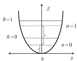 correspondingly是什么意思