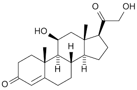 corticosteroid是什么意思