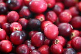 cranberry是什么意思