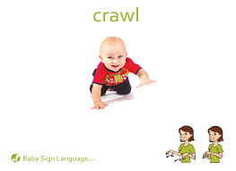 crawl是什么意思