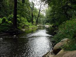 creek是什么意思