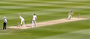 cricket是什么意思