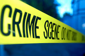 crime是什么意思