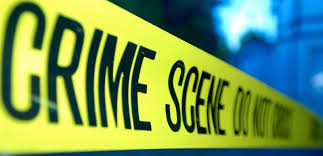 criminology是什么意思
