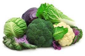 cruciferous是什么意思