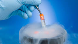 cryogenics是什么意思
