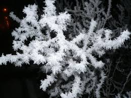 crystallization是什么意思