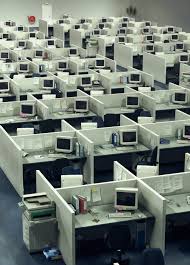 cubicle是什么意思
