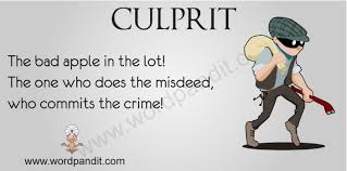 culprit是什么意思