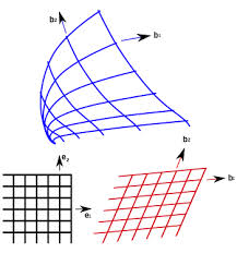 curvilinear是什么意思
