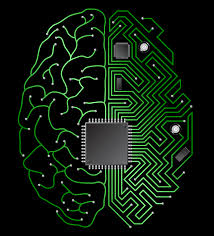 cybernetics是什么意思